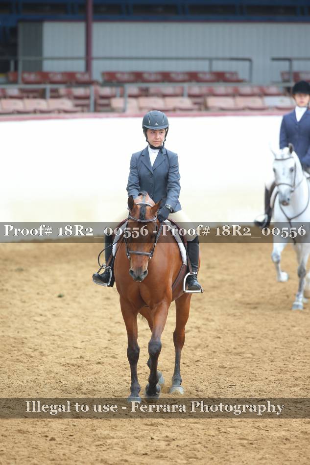Proof 18R2_00556