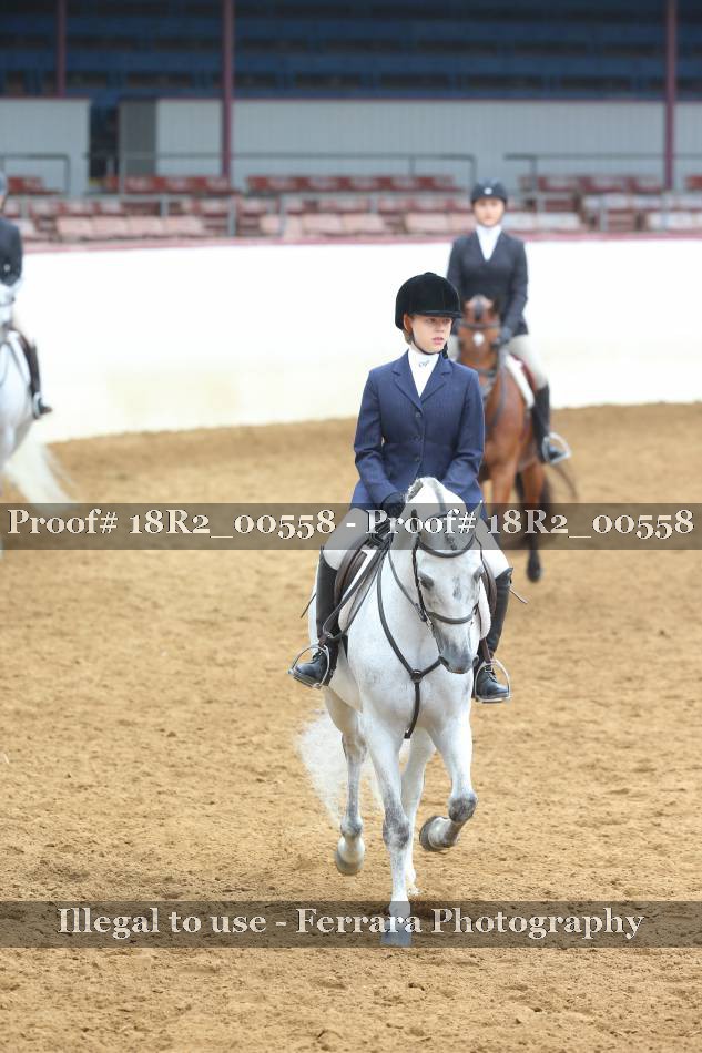 Proof 18R2_00558