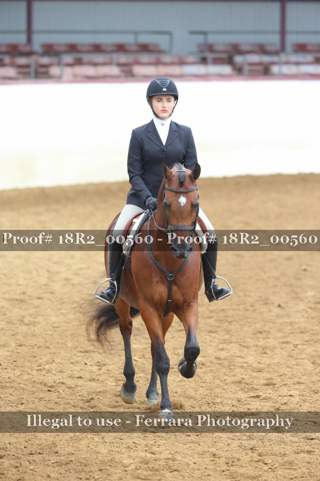 Proof 18R2_00560