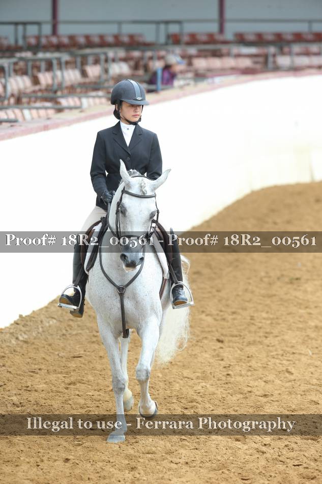 Proof 18R2_00561