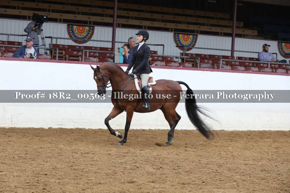 Proof 18R2_00563