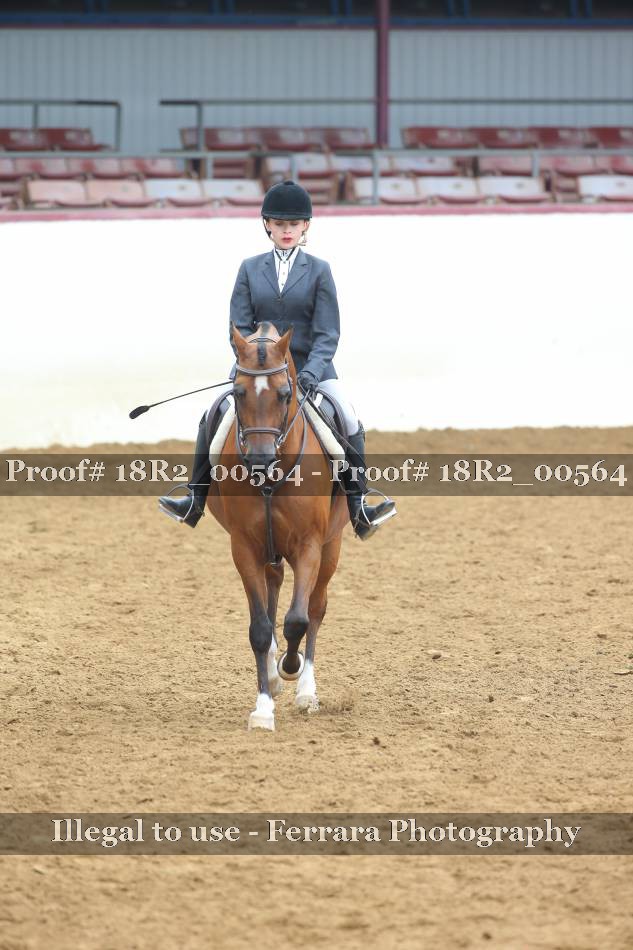 Proof 18R2_00564