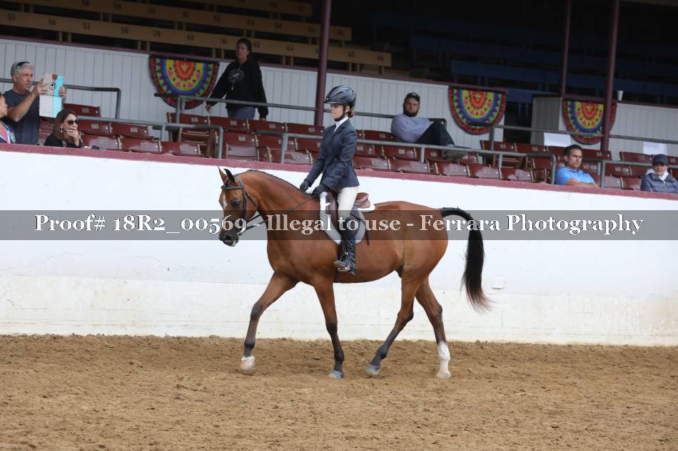 Proof 18R2_00569