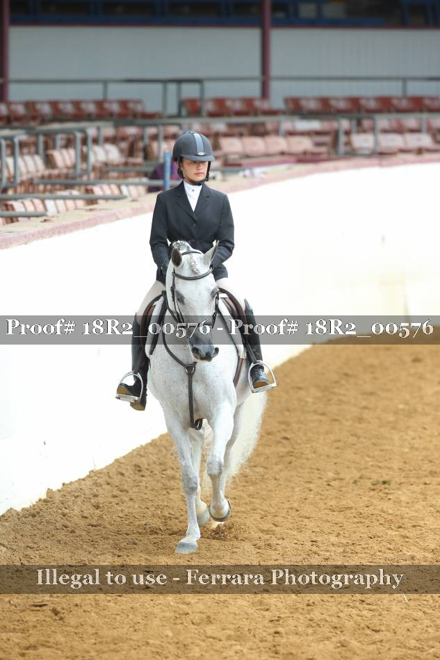 Proof 18R2_00576