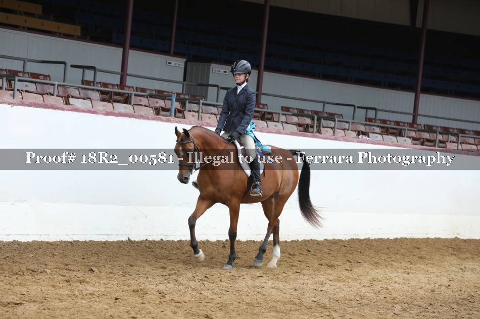 Proof 18R2_00581