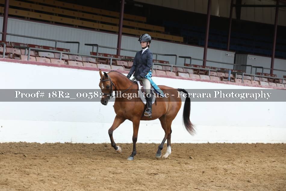 Proof 18R2_00582