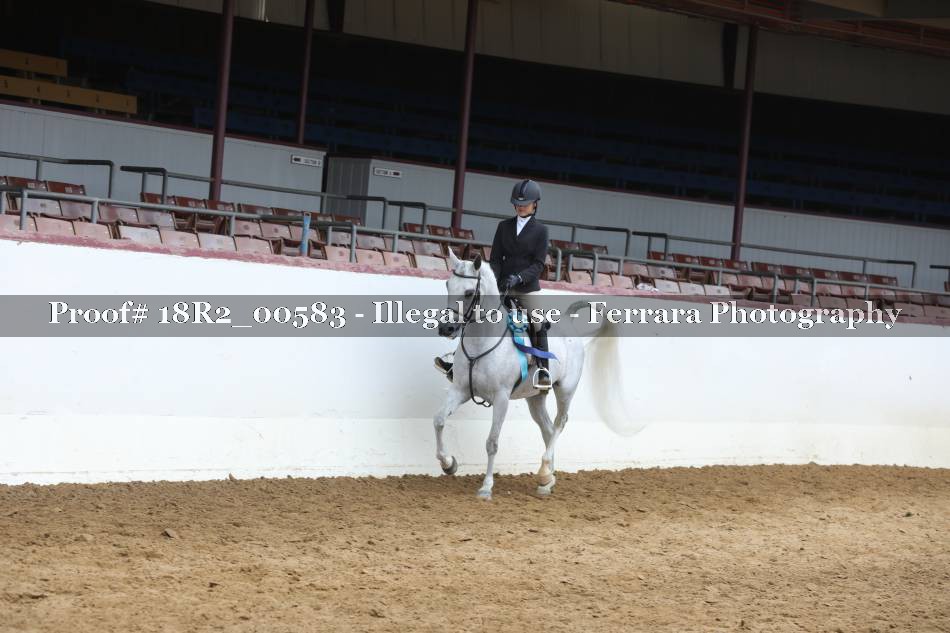 Proof 18R2_00583