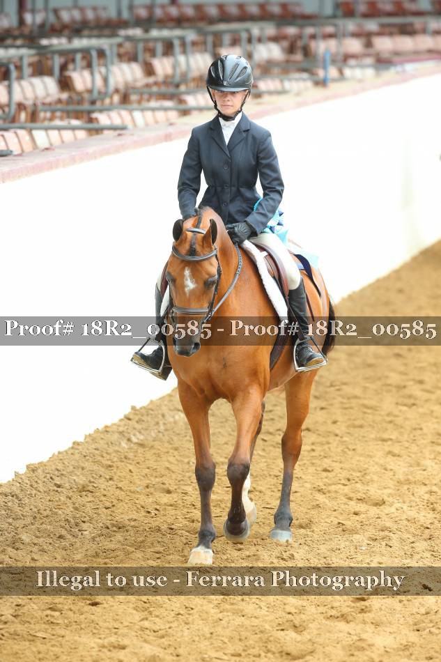 Proof 18R2_00585
