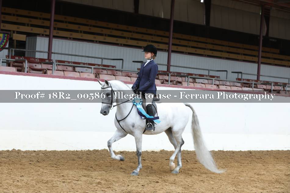 Proof 18R2_00586