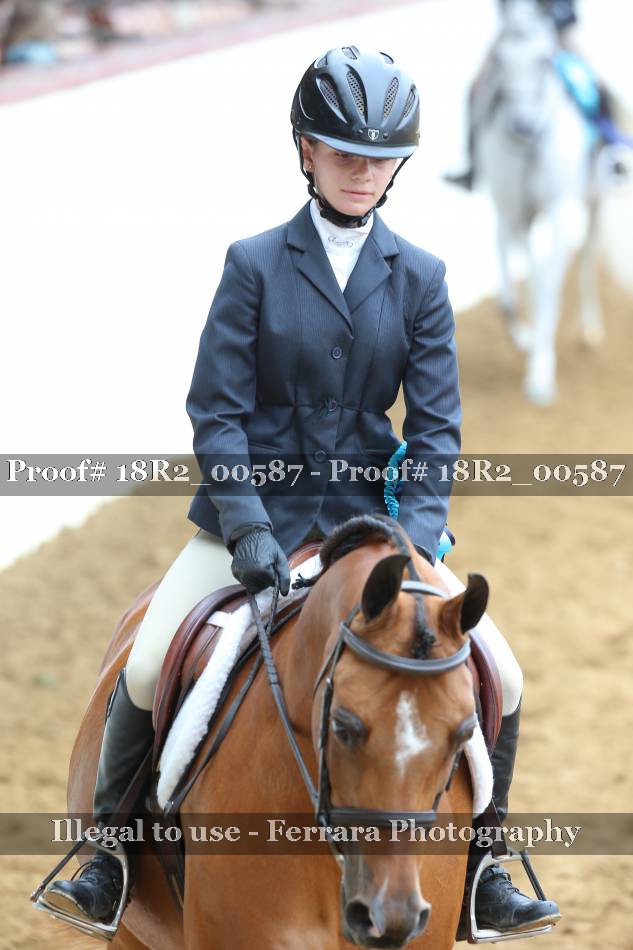 Proof 18R2_00587