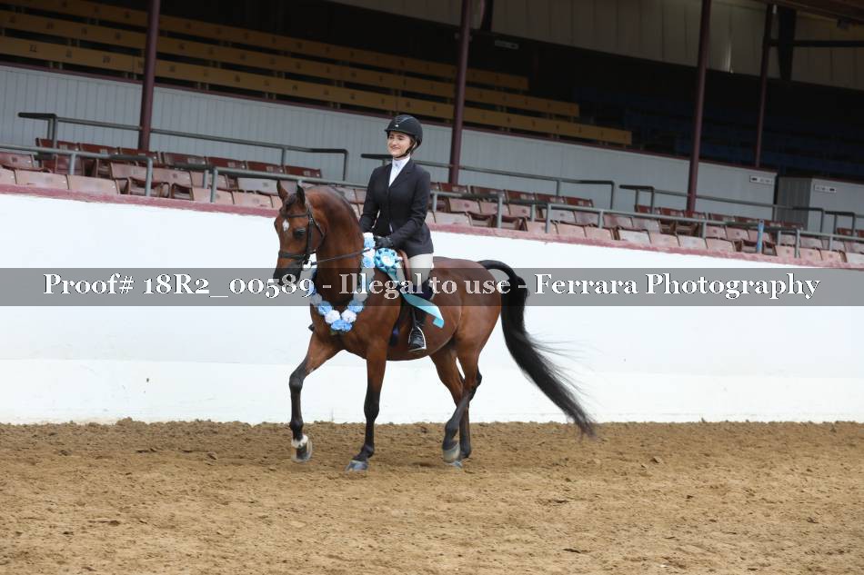Proof 18R2_00589
