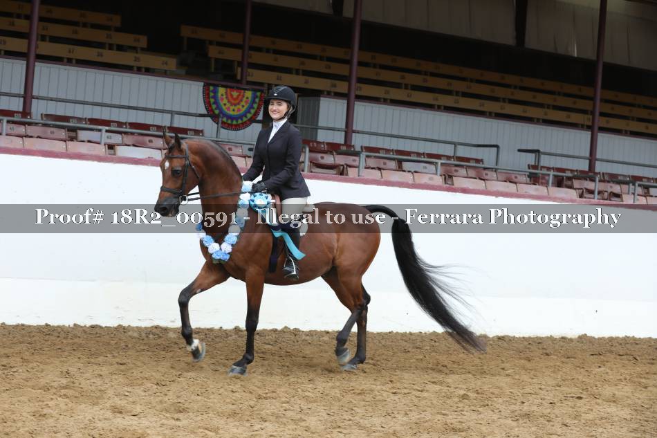 Proof 18R2_00591
