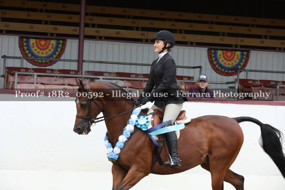 Proof 18R2_00592