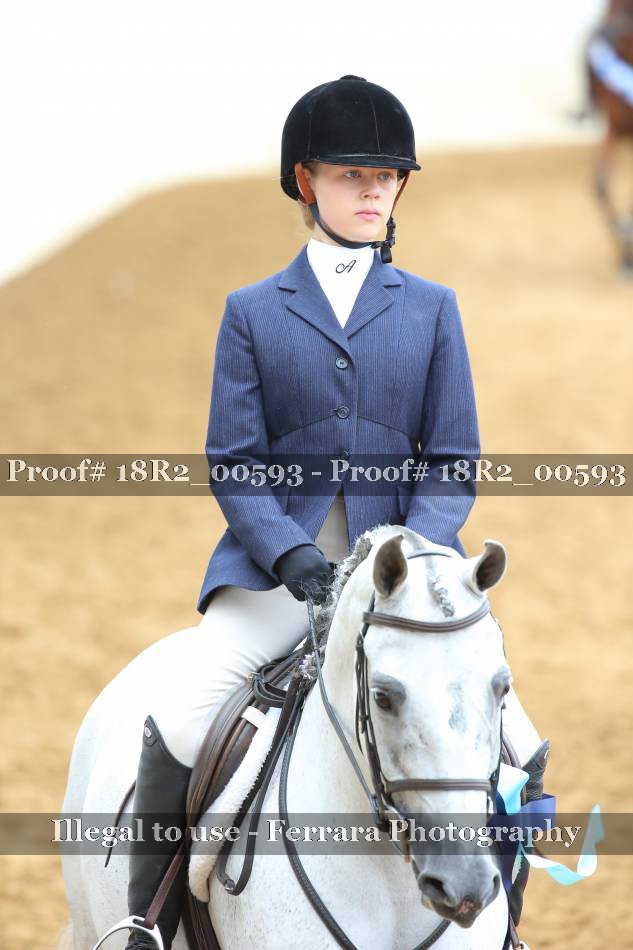 Proof 18R2_00593