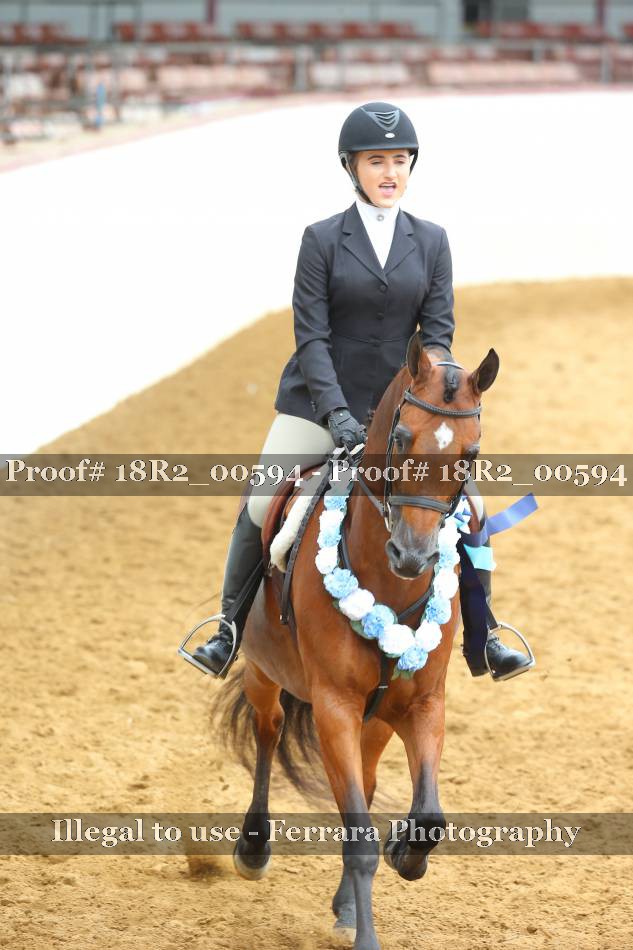 Proof 18R2_00594