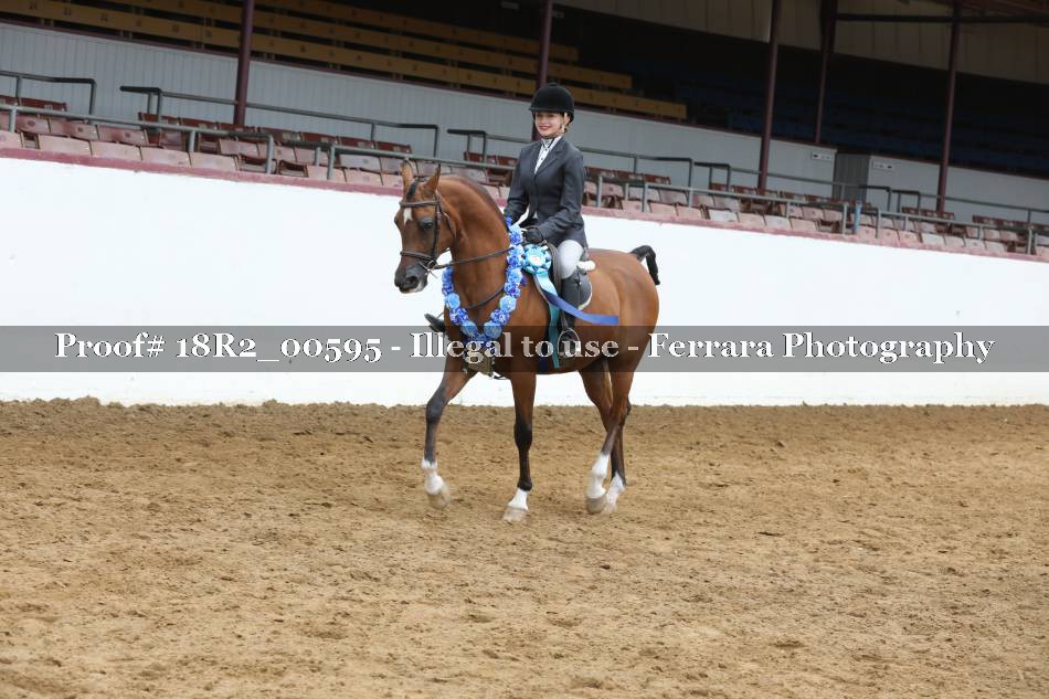 Proof 18R2_00595