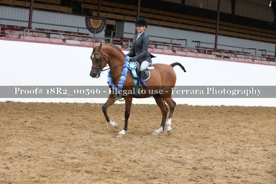 Proof 18R2_00596