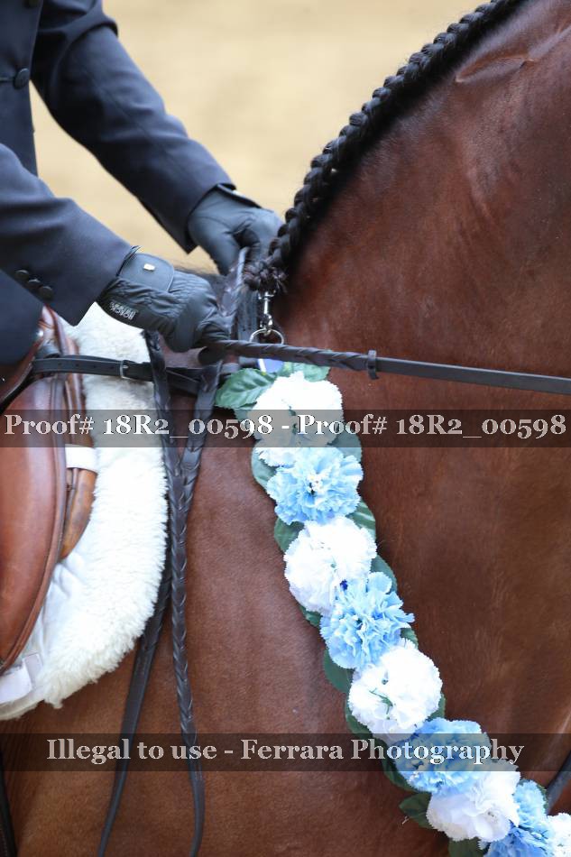 Proof 18R2_00598