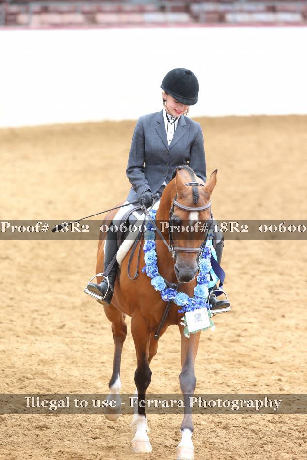 Proof 18R2_00600