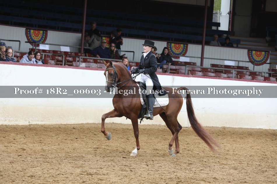 Proof 18R2_00603