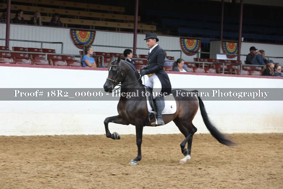Proof 18R2_00606