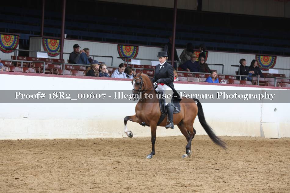 Proof 18R2_00607