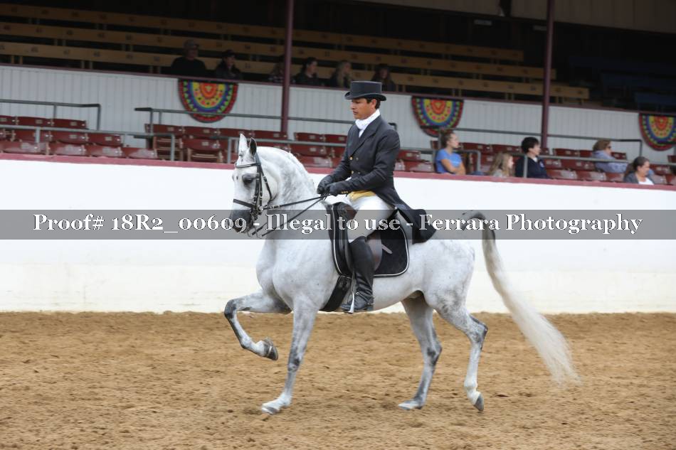 Proof 18R2_00609