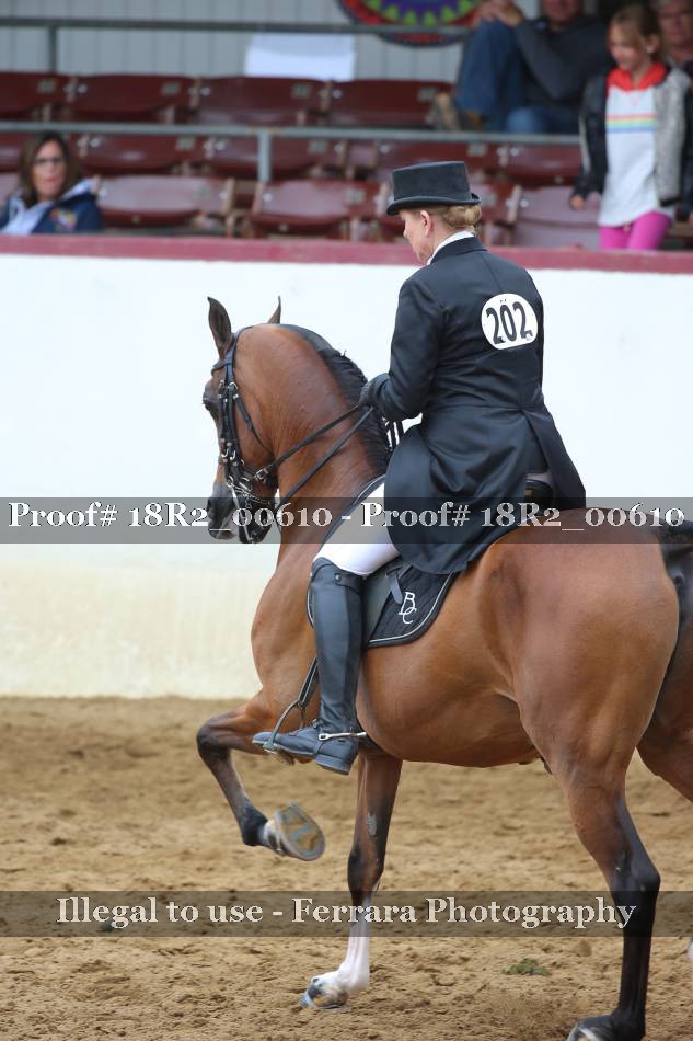 Proof 18R2_00610