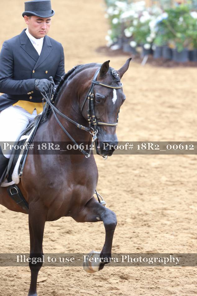 Proof 18R2_00612