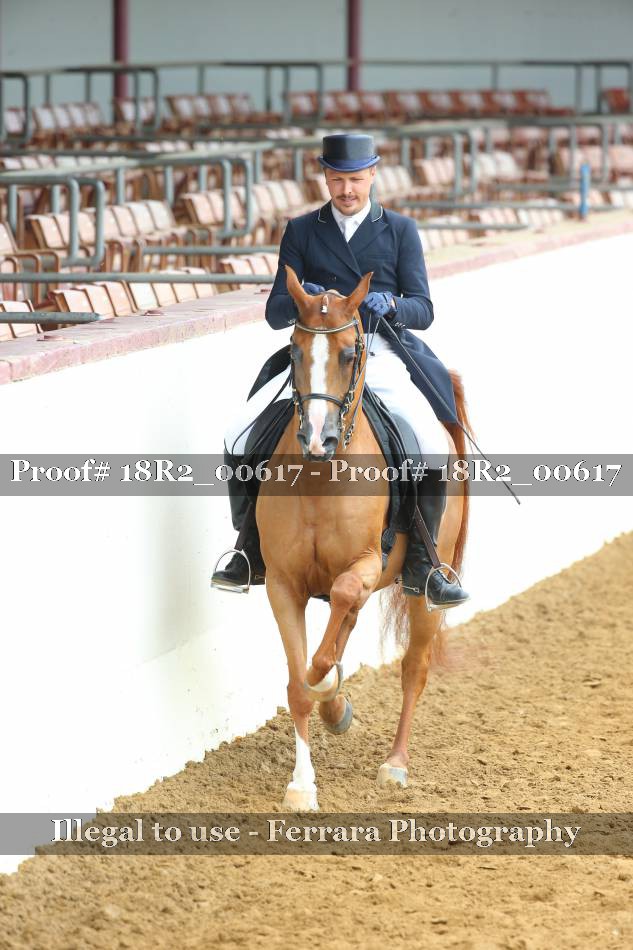 Proof 18R2_00617