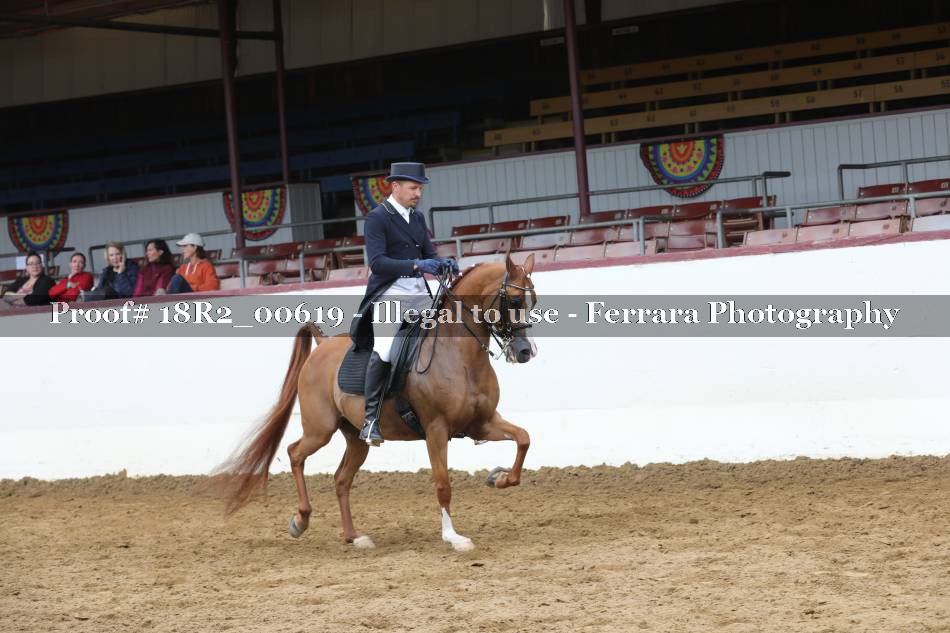 Proof 18R2_00619