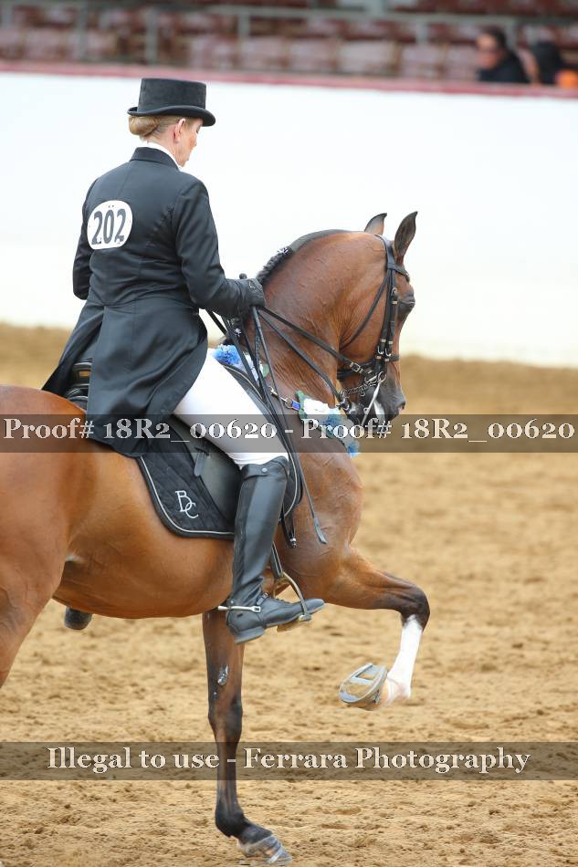 Proof 18R2_00620