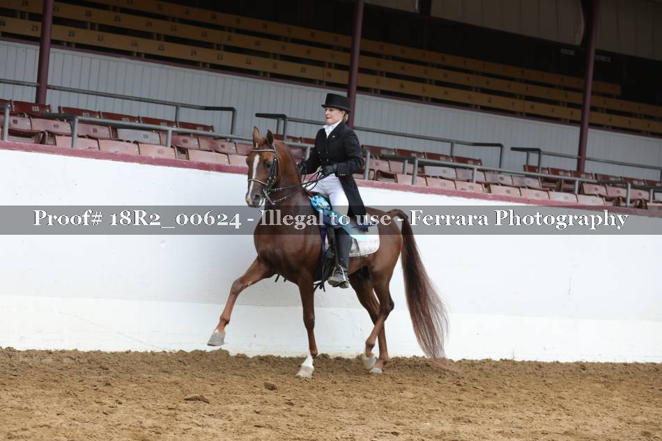 Proof 18R2_00624