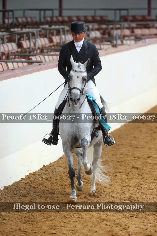 Proof 18R2_00627