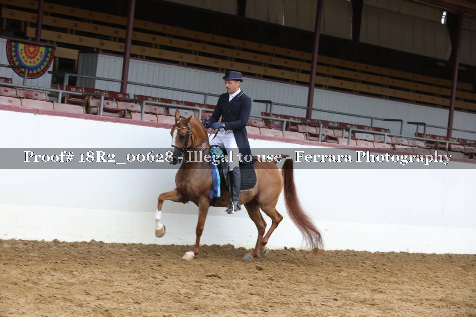 Proof 18R2_00628