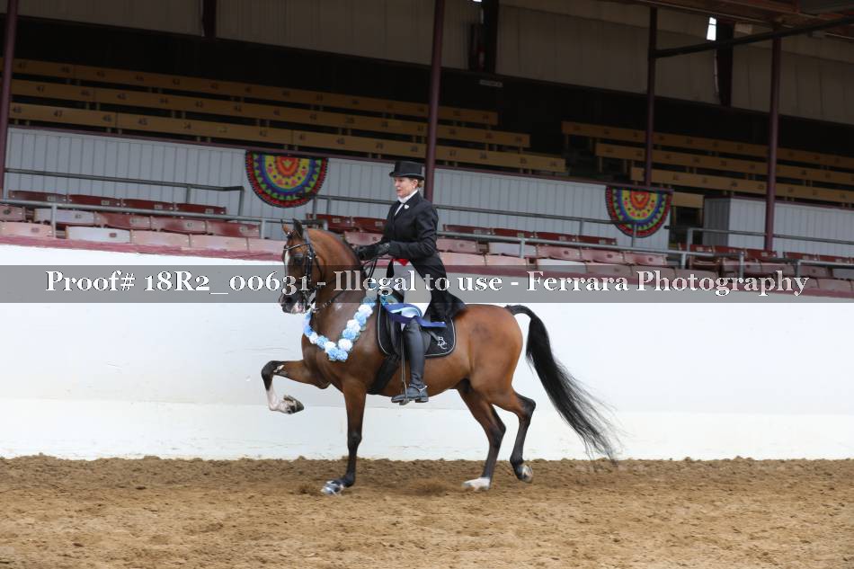 Proof 18R2_00631