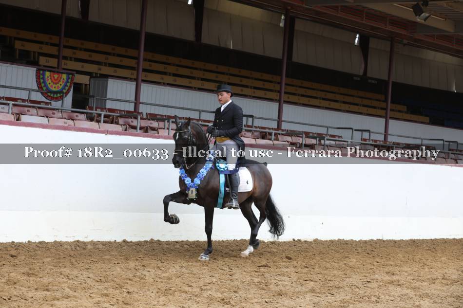 Proof 18R2_00633