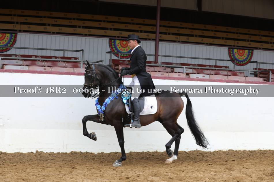 Proof 18R2_00634