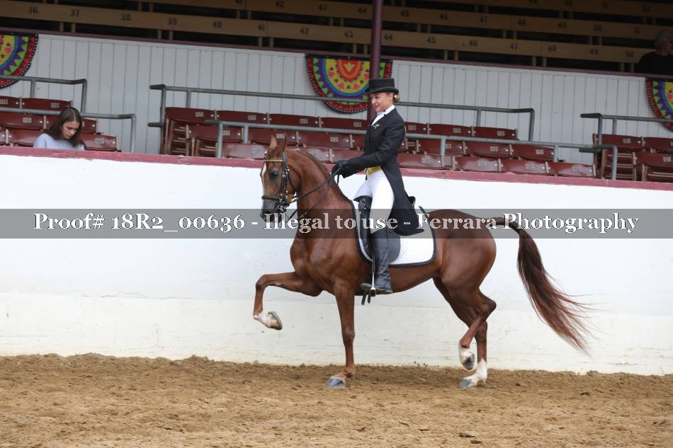 Proof 18R2_00636