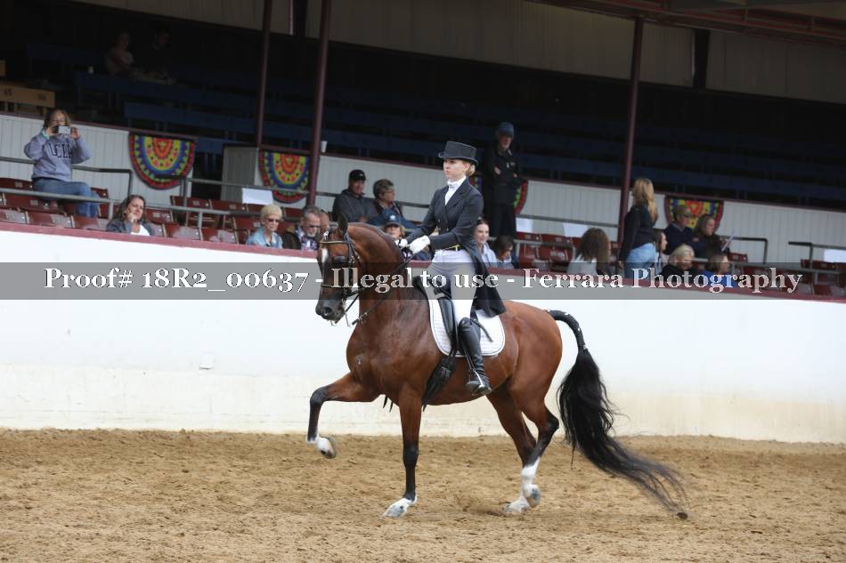 Proof 18R2_00637