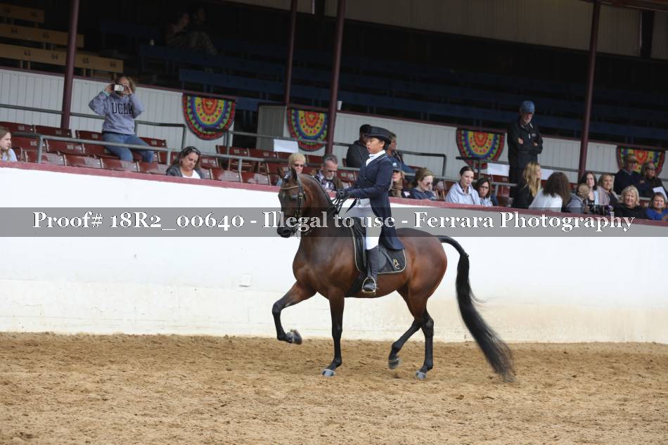 Proof 18R2_00640