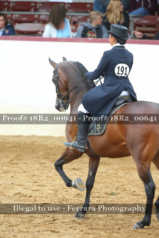 Proof 18R2_00641
