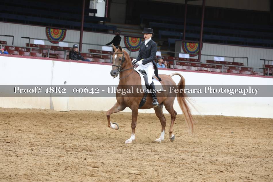 Proof 18R2_00642