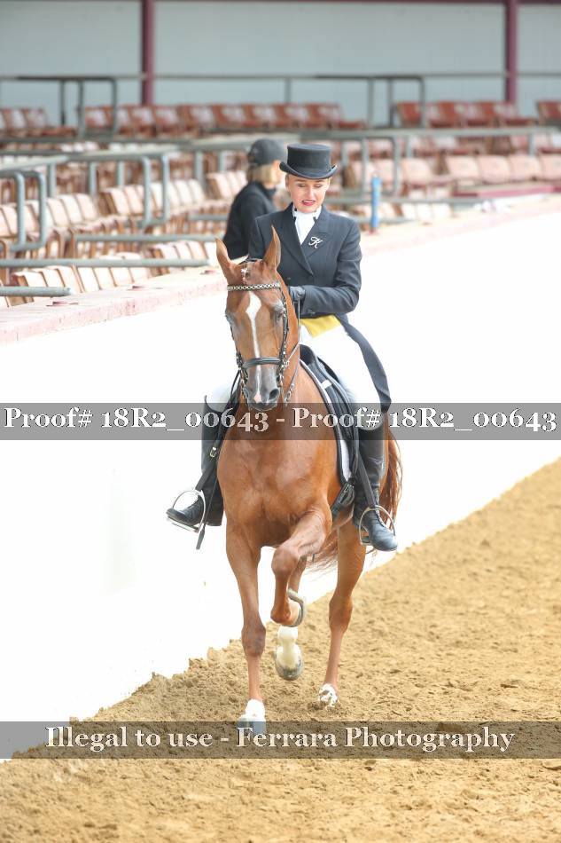 Proof 18R2_00643