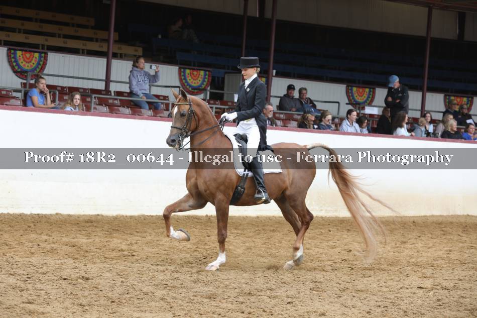 Proof 18R2_00644