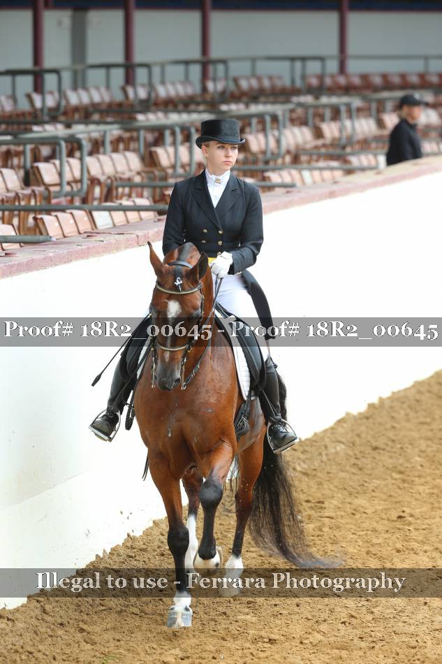 Proof 18R2_00645
