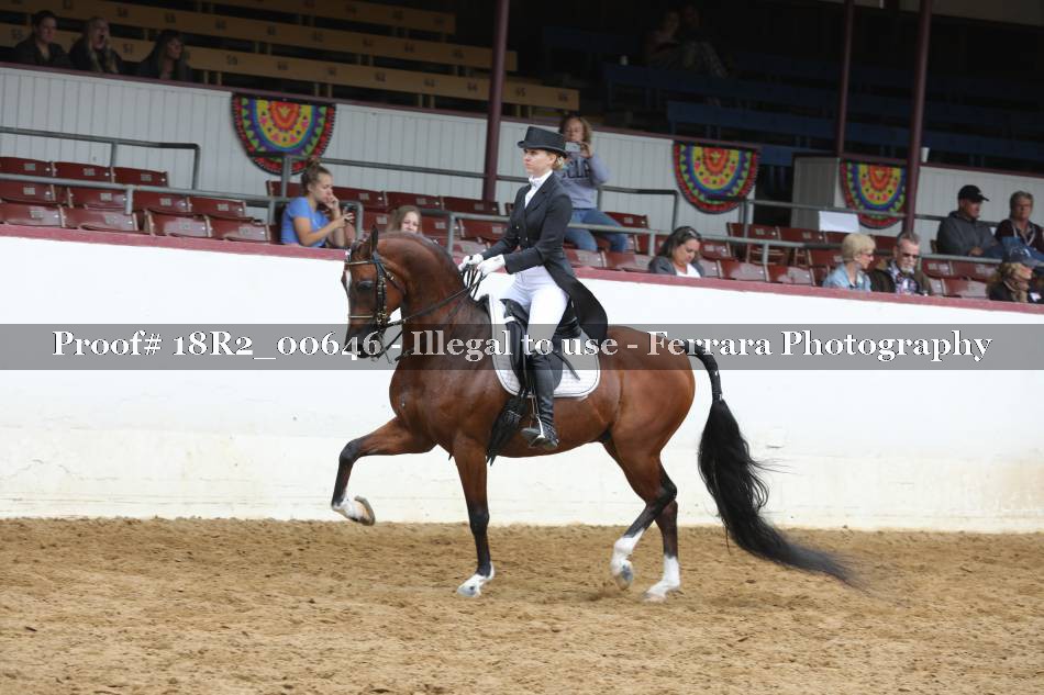 Proof 18R2_00646