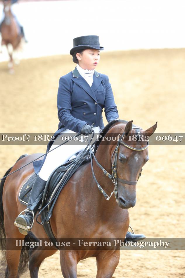 Proof 18R2_00647