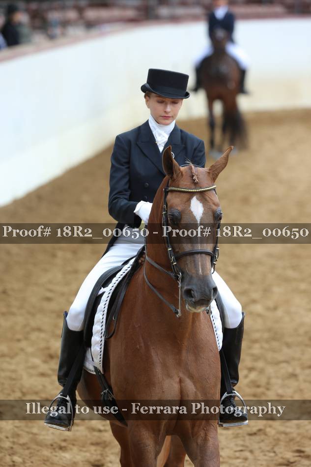 Proof 18R2_00650