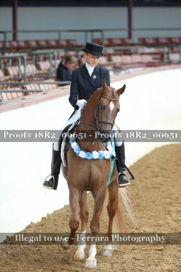 Proof 18R2_00651